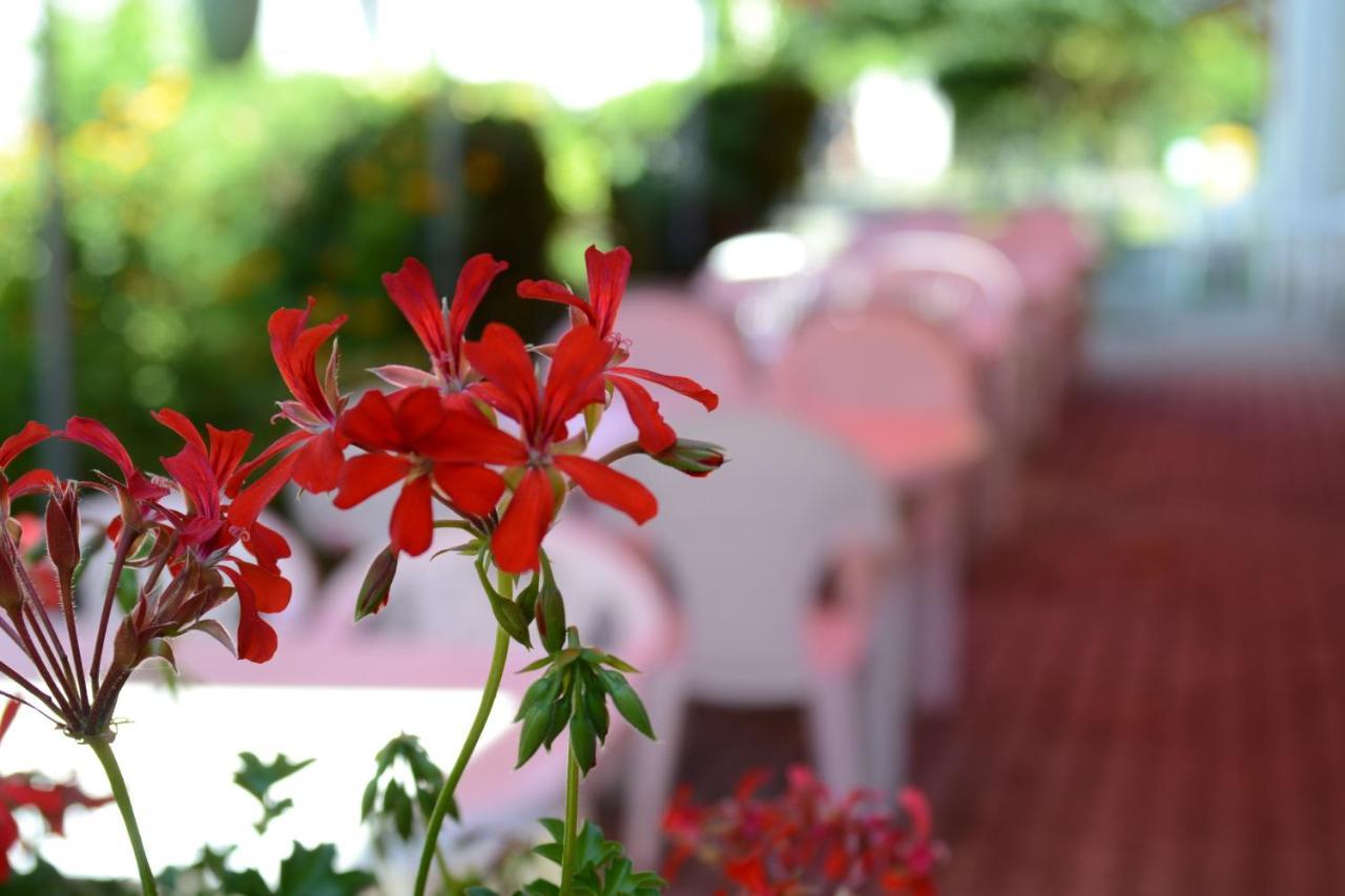 Zoeld Zona Zamardi Ueduelo Bed & Breakfast Luaran gambar